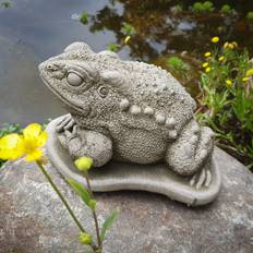 Garden & Outdoor Environment Brambly Cottage Toad
