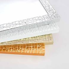 Plastic Mirrors Nielsen Plastic Mounted Length Wall Mirror