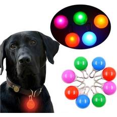 ExpressVaruhuset LED Lampa Hund Och Katthalsband Vit