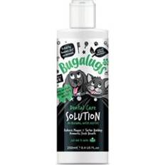 Dental Care Solution