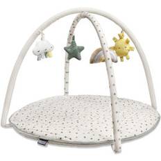 Meadow Activity Gym