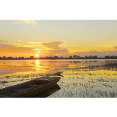 Polyester Framed Art Breakwater Bay Colourful Sunset Singto2 Framed Art
