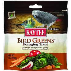Kaytee Foraging Treat Bird Greens All Birds
