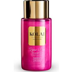 Repair & Care Shampoo