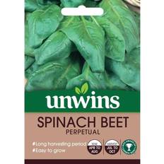 Seeds Unwins Grow Your Own At Tasty Vegetable Spinach Beet