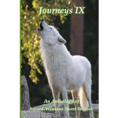 Journeys (Paperback)