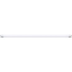 Daylight - GU10 LED Lamps Paulmann 230 V Standard LED Tube T8 604 mm