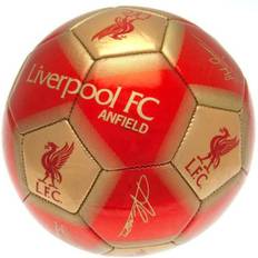 Liverpool FC Signatur Fotboll