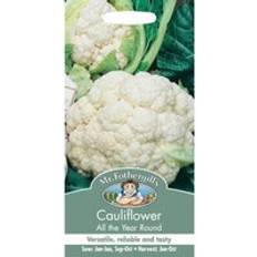 Vegetable Seeds Mr. Fothergill's Cauliflower All Year Round Brassica Oleracea Seeds