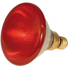 Kerbl Economic Infrared Lamp - Rouge