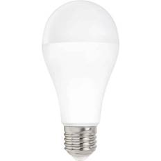 Lyskilder Spectrum LED A65 E27 230V 15W Dæmpbar Ikke dæmpbar, Kulør Kold