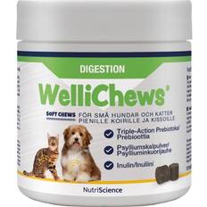 Swedencare Wellichews Digestion Dogs Cats Prebiotic Soft
