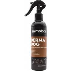 Derma Dog No Rinse Hundschampo