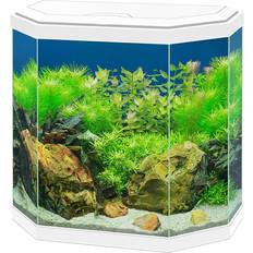 Ciano Ciano Aqua 30 Classic Fish Tank 25L