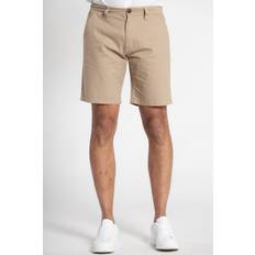 Cotton Chino Shorts Stone