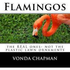 Flamingos Vonda Chapman 9781718620070 (Hæftet)