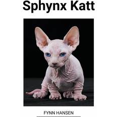 Sphynx Katt