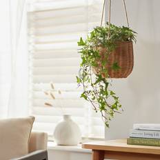 Habitat Rattan Hanging Basket