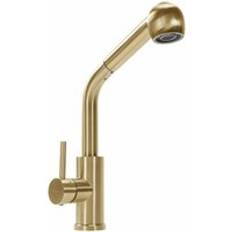 REA Kitchen faucet Troy Brush