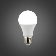 E27 LED GLS Light Bulb