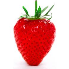 Strawberry Hapil Fragaria Perennial Potted Fruit Plant Food