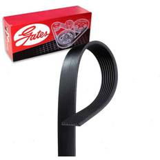 V-Belts Gates Micro-V K080981 Serpentine Belt