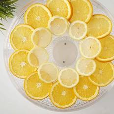 MisterChef Individual tray for Food Dehydrator replacement