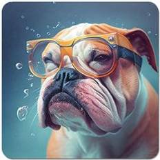 Brown Coasters Warren Reed Bulldog With Splashart Coaster