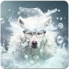 White Coasters Warren Reed Wolf With Splashart Coaster 4pcs