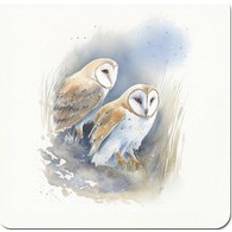 Brown Coasters Warren Reed Barn Ano Owls Coaster