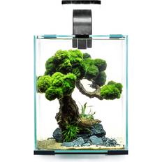 Aquael Smart Shrimp Set 10L Shrimp Set Day Night
