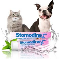 Stomodine F Cat & Dog Toothpaste Meat