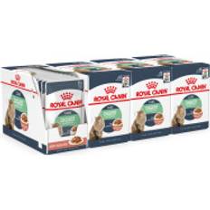 Royal Canin Wet Cat Food Digestive Care In Gravy Pouch