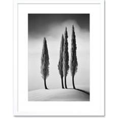 Photography Framed Art ARTERY8 of Cypress Trees on Snowy Hill Minimalist Framed Art