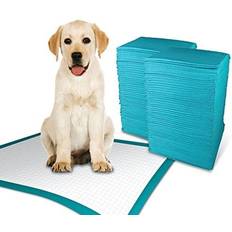MantraRaj of 100 MantraRaj Large Puppy Training Pads Super Absorbent proof