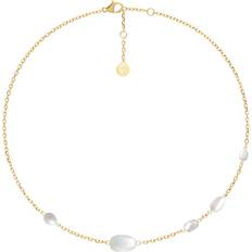 Fotlänkar Edblad Ocean Anklet Gold
