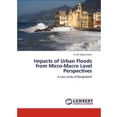 Impacts of Urban Floods from Micro-Macro Level Perspectives K M Nabiul Islam 9783845477091