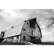 Blue Elephant 'Flags of Our Farmers X' McLoughlin Photograph Print Framed Art