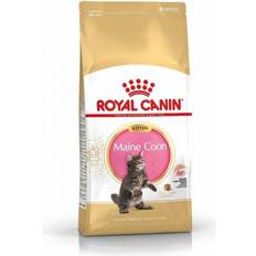 Royal Canin Maine Coon