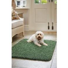 Buddy 'Buddy' Rug Green