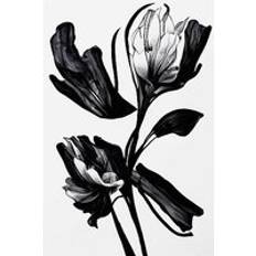 Black Flower Beige