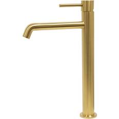Strand Stainless SO-2002 GOLD