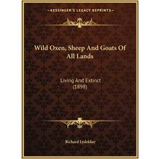 Wild Oxen, Sheep And Goats Of All Lands Richard Lydekker 9781167231346 (Hæftet)