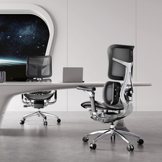 Ergonomic Adjustable Headrest Armrest Lumbar
