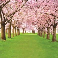 Photo Backgrounds Aofoto AOFOTO 10x10ft Spring Cherry Flower Photography Backdrop Floral Blossom Tree Background Park Natural Scenery Grass Pathway Photo Studio Props Bride Girl Woman Lady Mother Portrait Vinyl Wallpaper