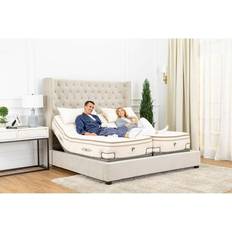 PlushBeds "Medium 9"" Latex Mattress Bliss