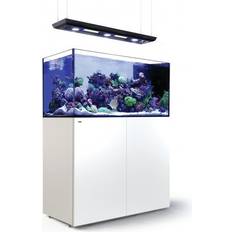 Red Sea Peninsula G2+ Deluxe Inkl ReefATO 2 St