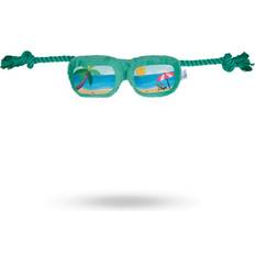 Companion SUN GLASSES