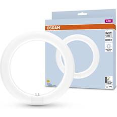 G10q LED-pærer Osram LED Lysrør T9 Rundt 11W 1320lm 840 Kold Hvid