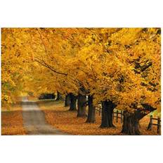 Wood Posters BrainBoosters Trees in Autumn Print Tony Sweet Poster